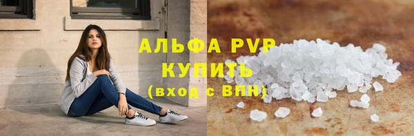 стаф Зерноград