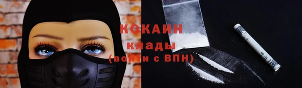 стаф Зерноград