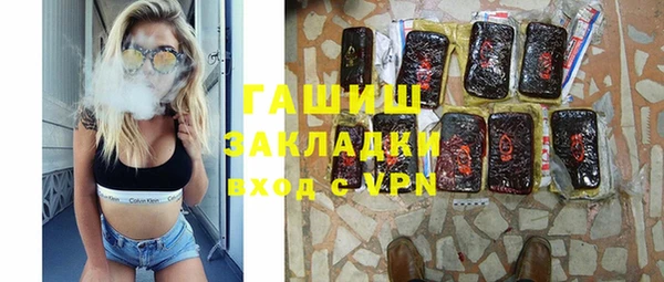 индика Инсар