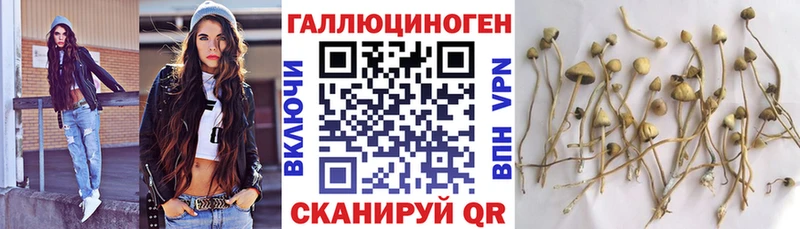 Галлюциногенные грибы Magic Shrooms  Купить закладки  Гвардейск 